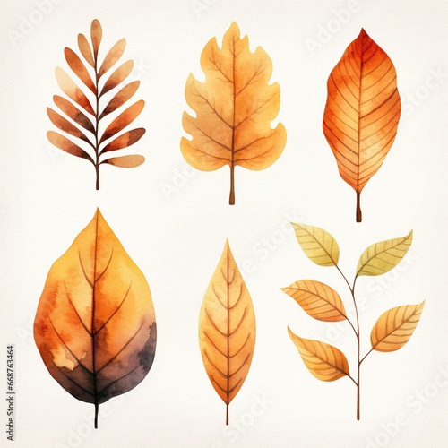 Collection of autumn leaves  watercolor illustration  set