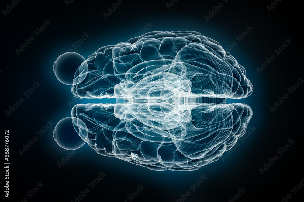 X-ray superior or top view of the full brain whit eyes 3D rendering illustration. Human body and nervous system anatomy, medical, healthcare, biology, science, neuroscience, neurology concepts. X-ray superior or top view of the full brain whit eyes 3D rendering illustration. Human body and nervous system anatomy, medical, healthcare, biology, science, neuroscience, neurology concepts.