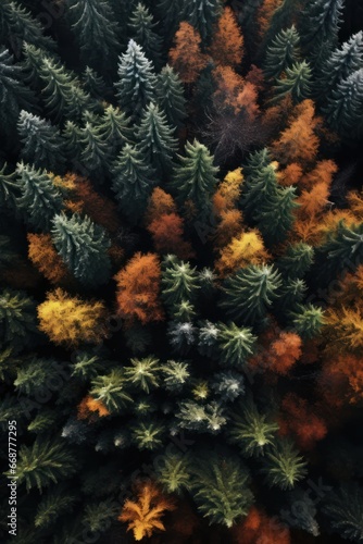 Nature from Above