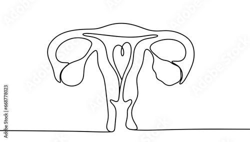 Uterus and ovaries. One line
