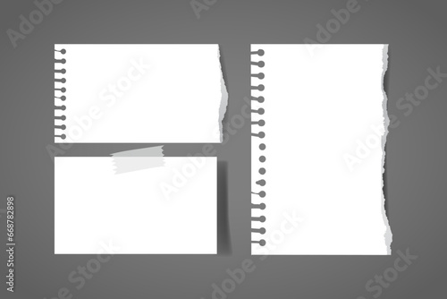White paper vector realistic texture