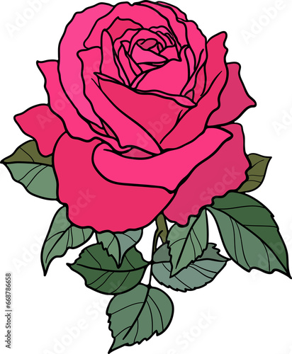 Fototapeta Naklejka Na Ścianę i Meble -  Decorative Rose Flower