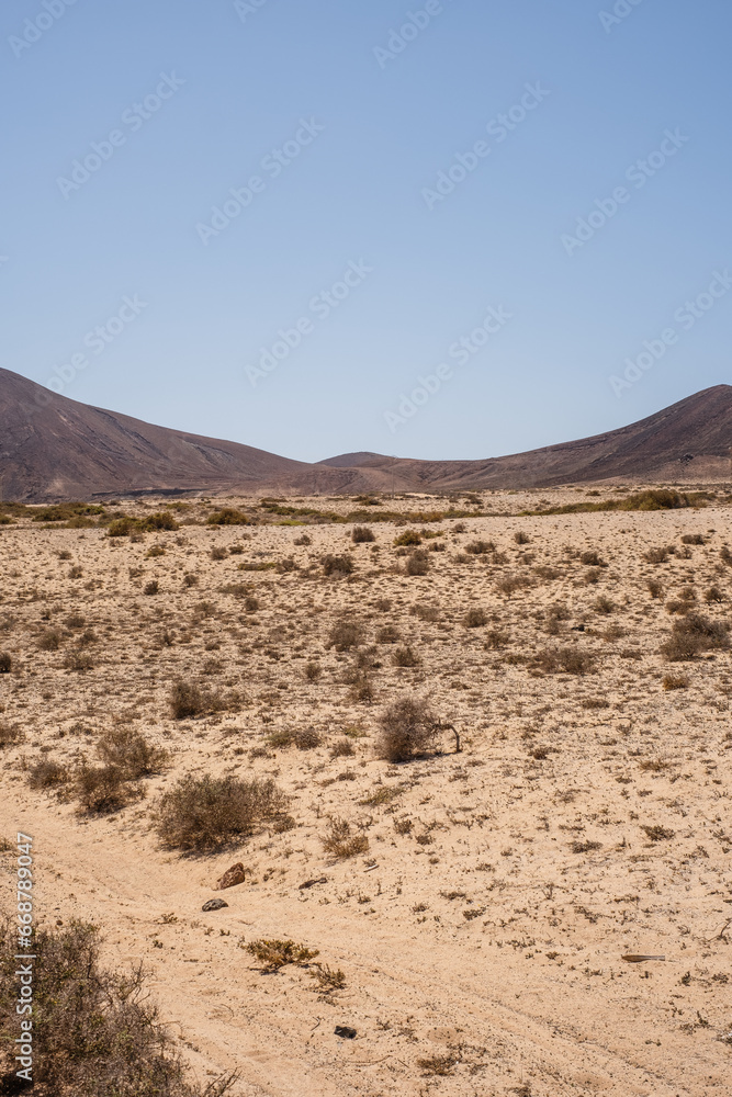 Desert landscape of white sand and desert bushes. Mountains in the background. Clear sky. Lanzarote, Canary Islands, Spain.