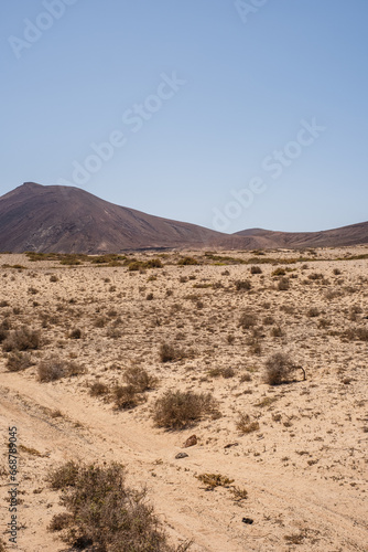 Desert landscape of white sand and desert shrubs. Dirt road, mountains in the background. Dirt track. Sky with big white clouds. Lanzarote, Canary Islands, Spain.