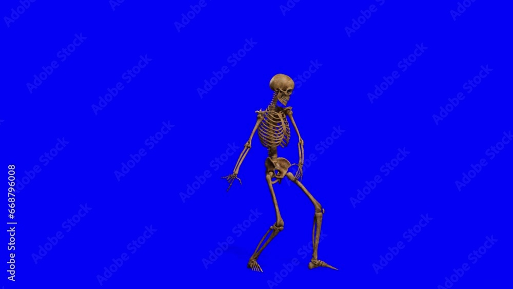 skeleton is dancing a 80s classic dance in a blue chroma key background skeleton is dancing a 80s classic dance in a blue chroma key background