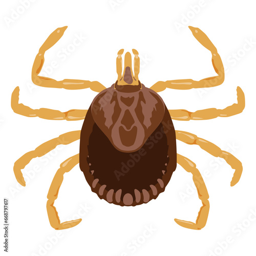 Tick parasitic arachnids feeding on the blood of mammals, birds,reptiles and amphibians illustration