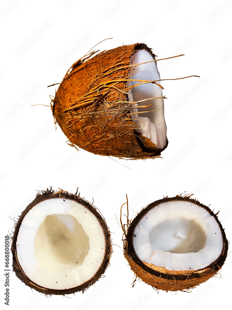 halves of coconut on white background halves of coconut on white background