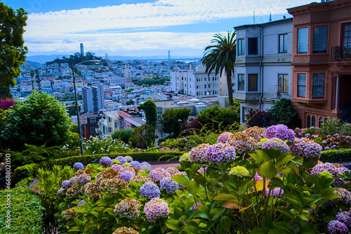 San Francisco's buildings (California, USA)