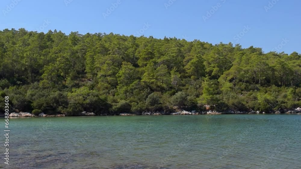 Tranquil harbour on the edge of the forest Tranquil harbour on the edge of the forest