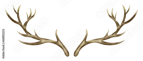 Deer Horns. Watercolor hand drawn illustration of reindeer Antler on isolated background. Clip art of dry bare branch. Drawing of buck stag part of skull. Sketch of brown leafless bough. photo