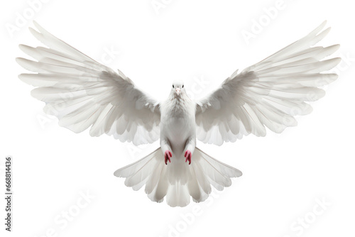 White flying dove on transparent background. photo