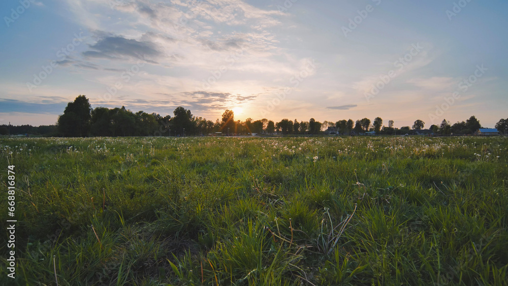 Evening city meadow at sunset.