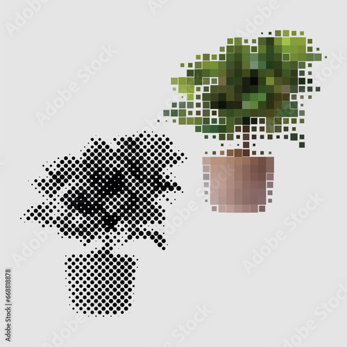 Ficus houseplant bush growing in pot for home interior decoration. Room plant with green petals. Ficus homeplant made of colored and black and white dots of different sizes. Gardening, floriculture