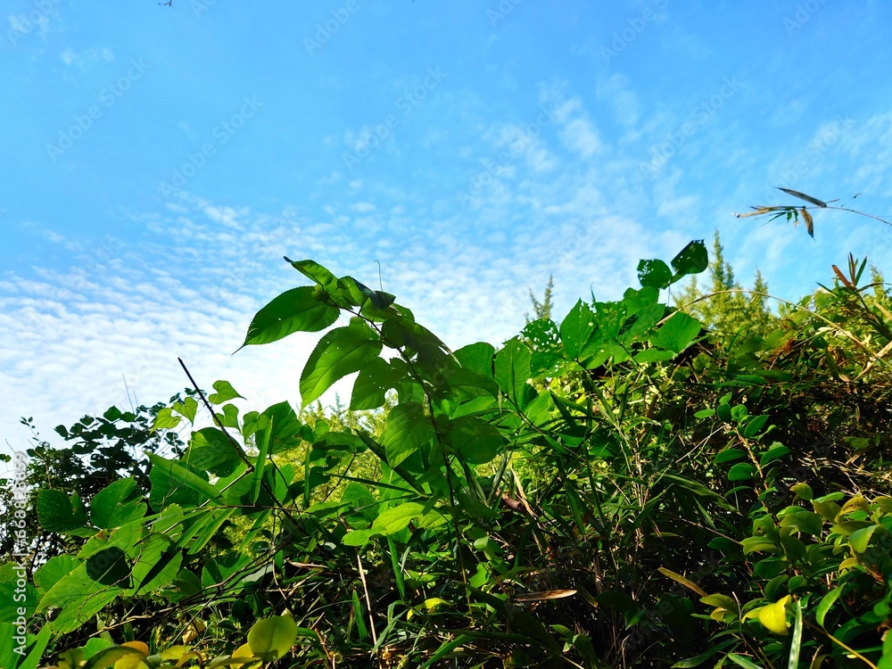 landscape with sky and clouds