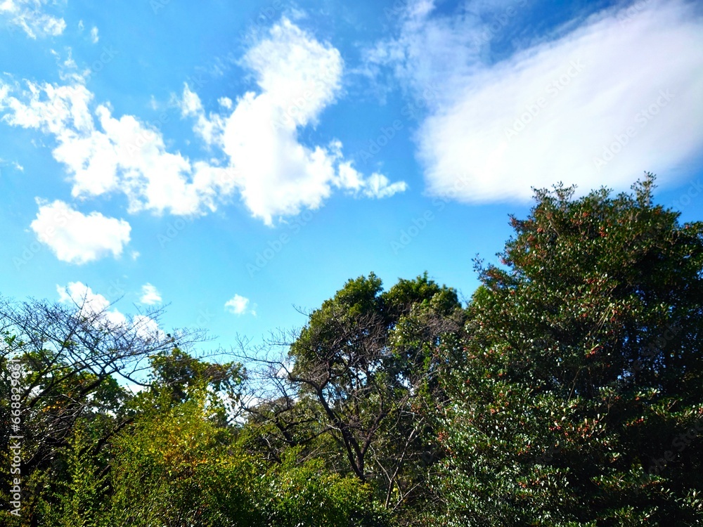 landscape with sky and clouds landscape with sky and clouds