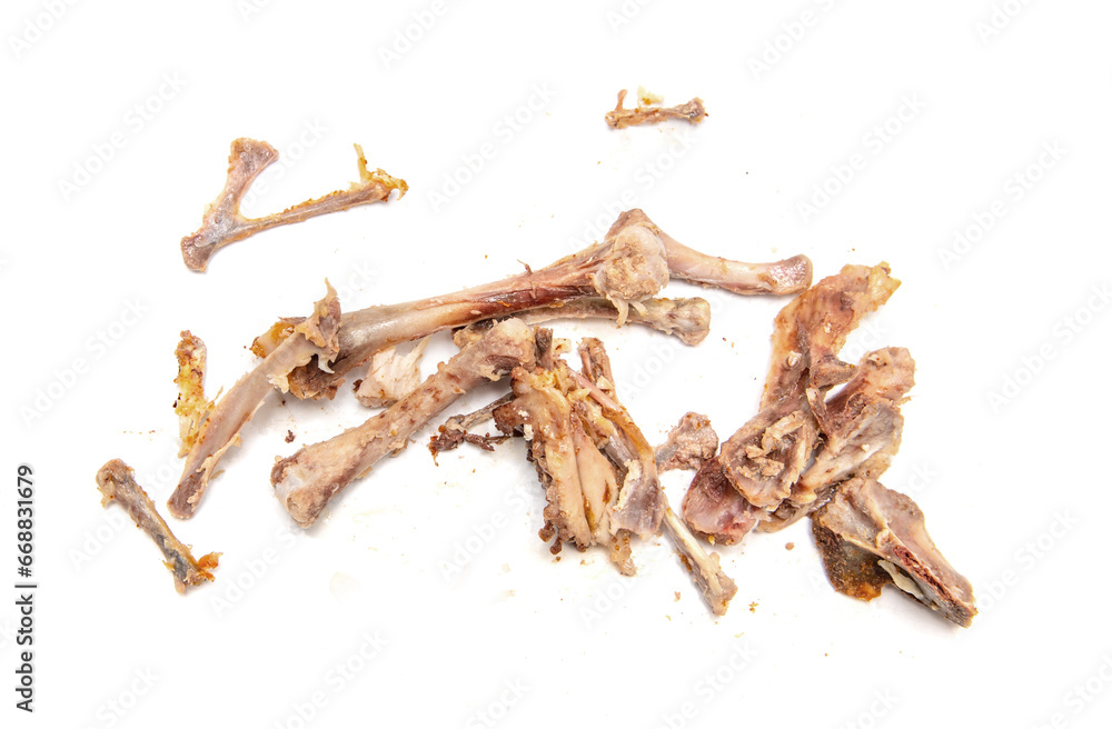 chicken bones on a white background. chicken bones on a white background.
