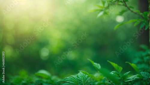 Beautiful green nature blur background with bokeh defocused lights