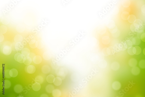 trees sunlight beautiful blur abstract light background