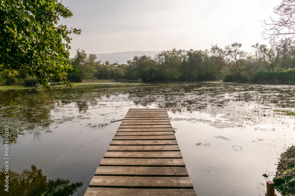 Obraz premium Autumn in the Karacabey floodplain forest