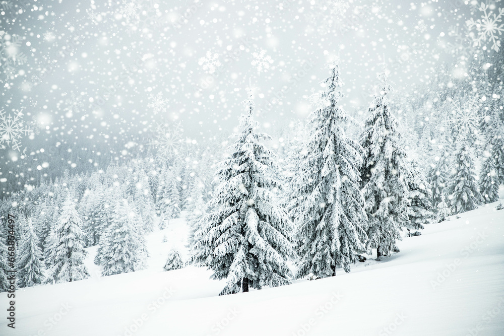 Obraz premium magical frozen winter landscape with snow covered fir trees
