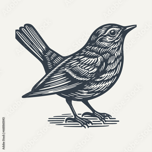 Small bird. Vintage woodcut engraving style hand drawn vector illustration on dark background.