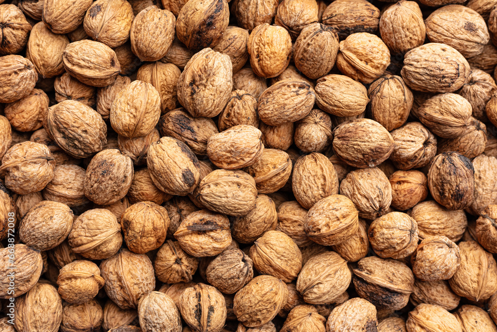 several walnuts in shell seen from above several walnuts in shell seen from above
