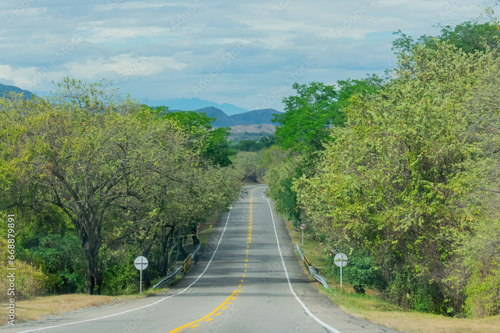 Road in a tropical landscape 