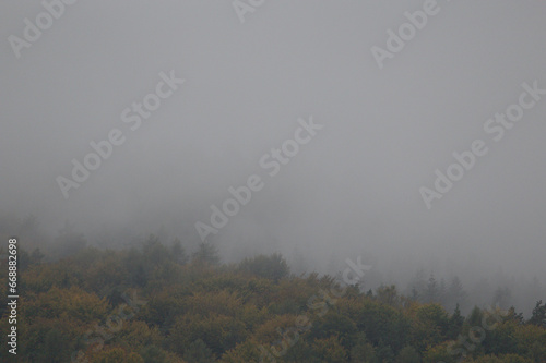 Nebel