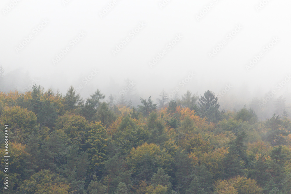 Nebel Nebel