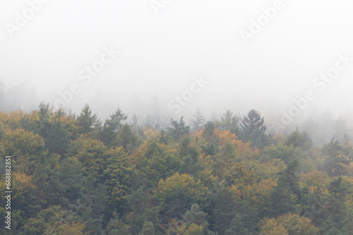 Nebel