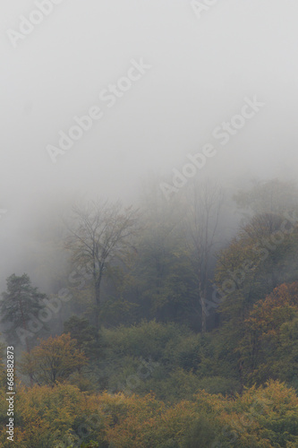 Nebel
