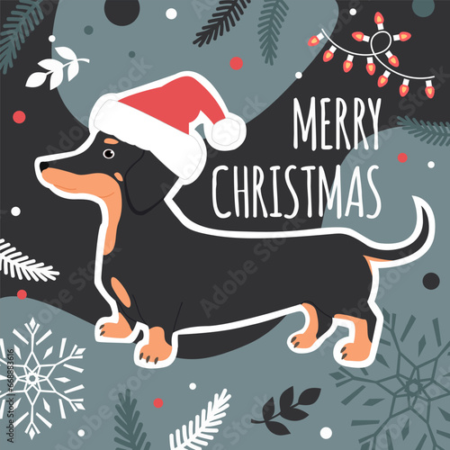 Christmas card with a cute dachshund dog in Santa Hat and winter elements. Vector flat illustration in trendy colors.