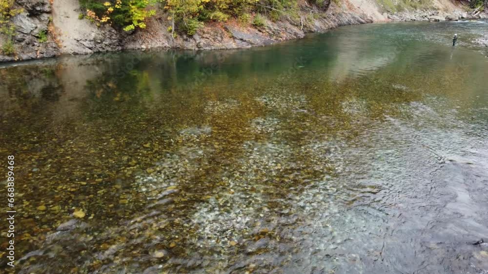 Salmon run in clear waters of Veder river, few fishermen on the shore Salmon run in clear waters of Veder river, few fishermen on the shore