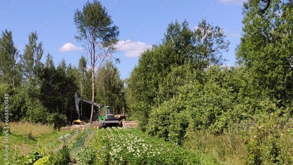 Tractor felling trees. Lumber camp in the countryside. Deforestation. Tractor felling trees. Lumber camp in the countryside. Deforestation.