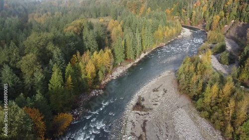 Aerial views of Chilliwack river's salmon run, with the beauty of autumn forest