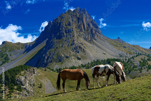 Altopiano Gardetta, Rocca La Meja in the Maira Valley, in Piedmont, near Cuneo