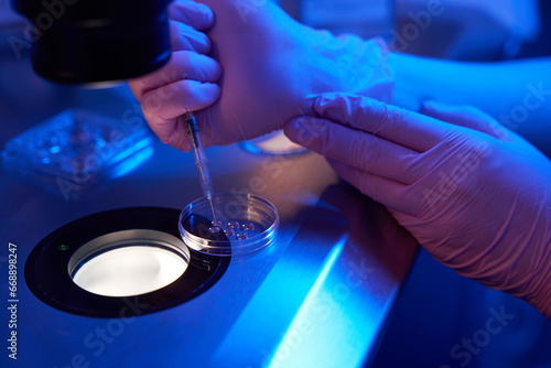 Embryologist loading oocytes with syringe into cell-culture dish photo