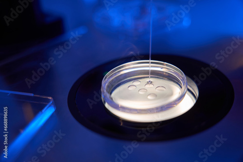 фотографія Oocyte sample collection process before vitrification procedure