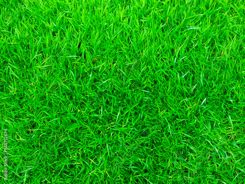 background of grass and golf field with copy space