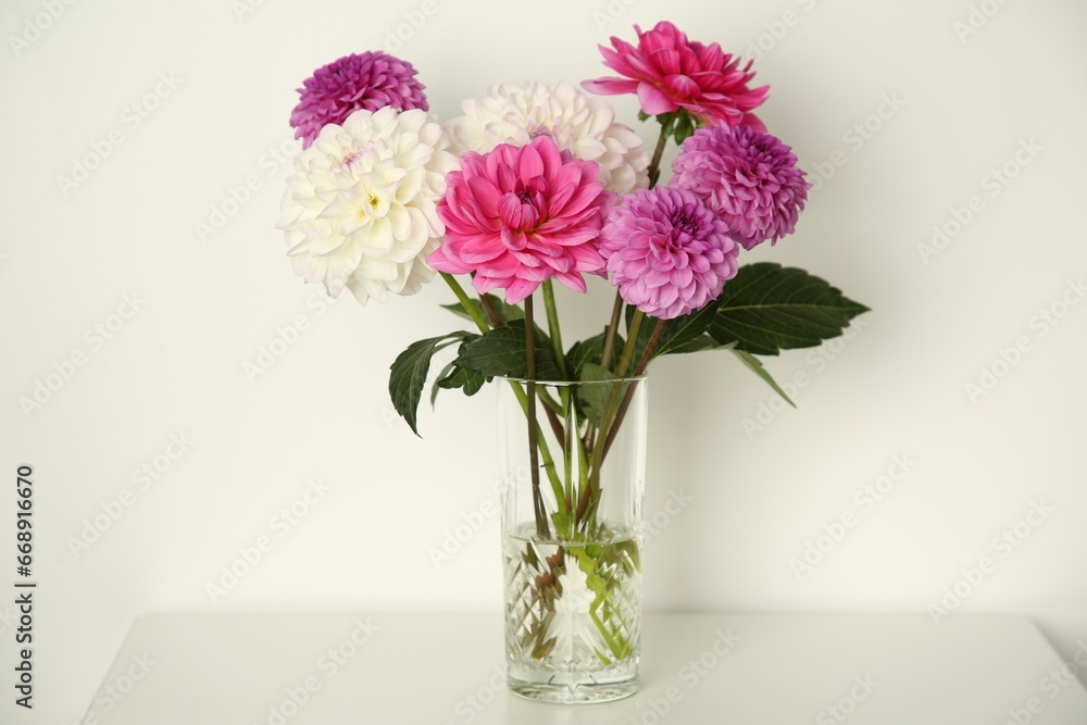 Bouquet of beautiful Dahlia flowers in vase on table near white wall