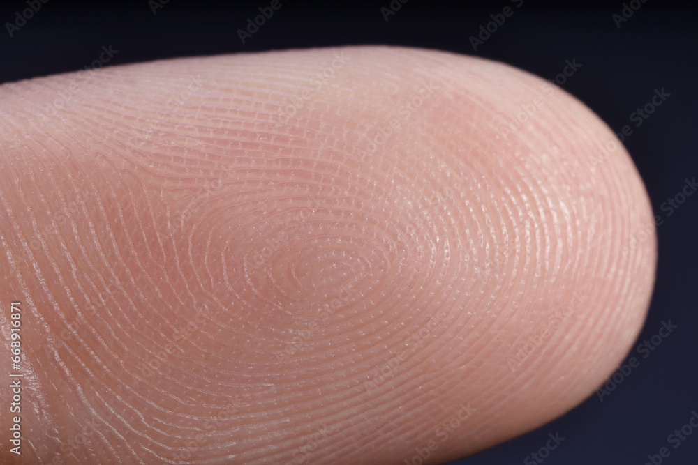 Finger with friction ridges on dark background, macro view Finger with friction ridges on dark background, macro view