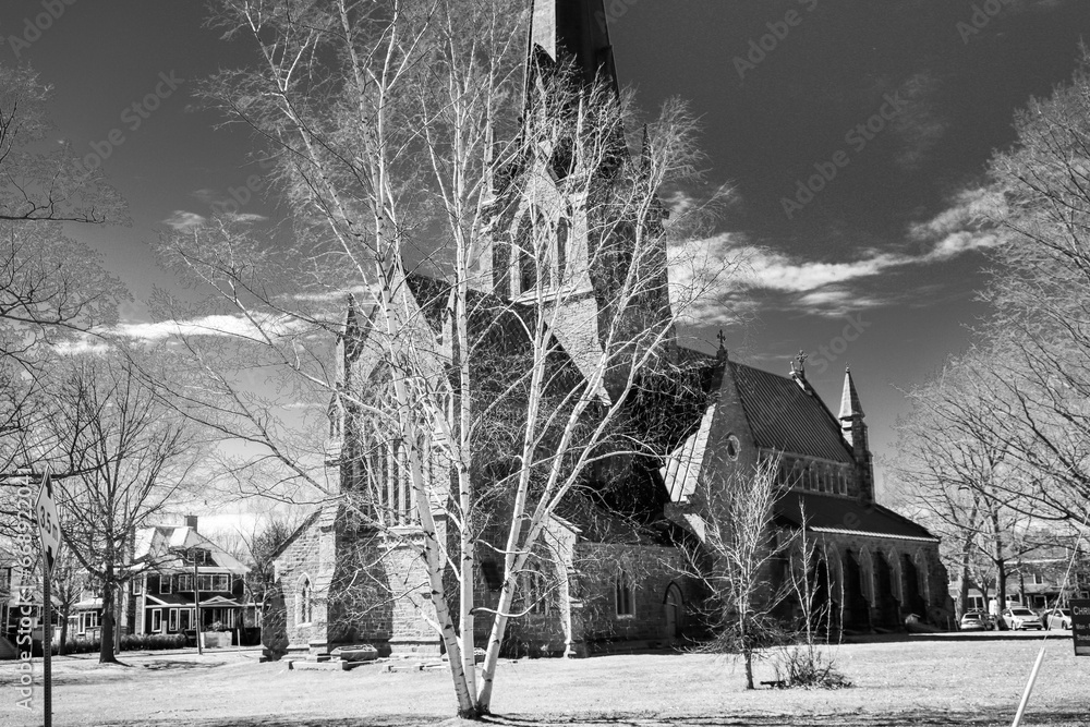 Fototapeta premium cathedral through the birch tree in autumn