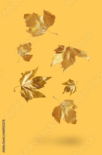 Golden autumn leaves falling on color background