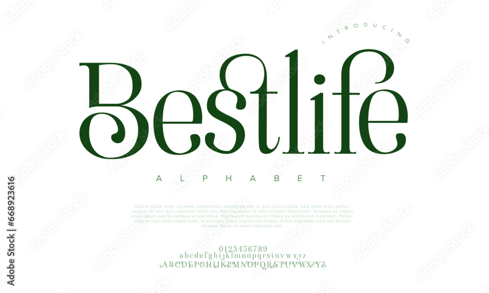 Bestlife premium luxury elegant alphabet letters and numbers. Elegant wedding typography classic serif font decorative vintage retro. Creative vector illustration Bestlife premium luxury elegant alphabet letters and numbers. Elegant wedding typography classic serif font decorative vintage retro. Creative vector illustration