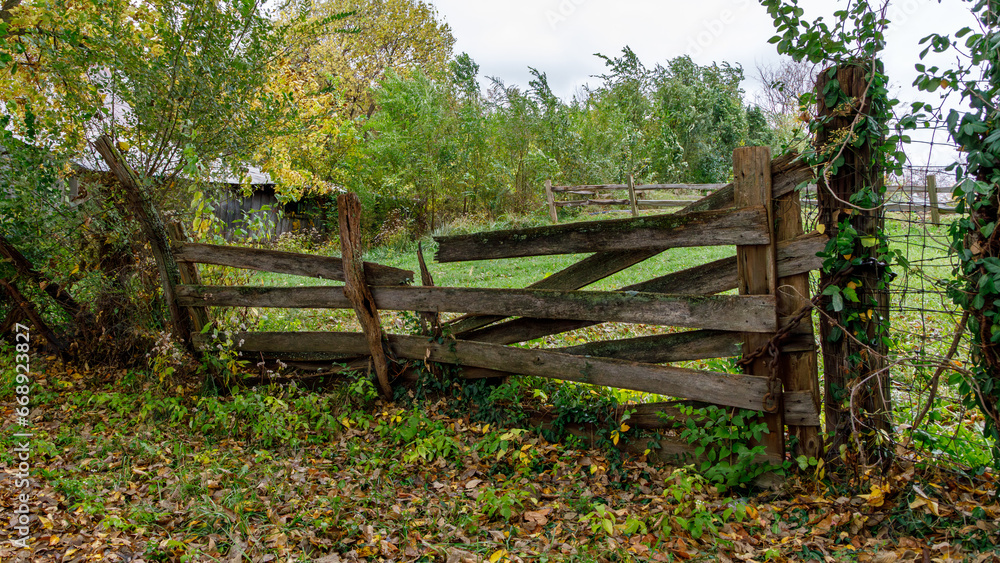 Old wooden gate on a wet fall afternoon Old wooden gate on a wet fall afternoon