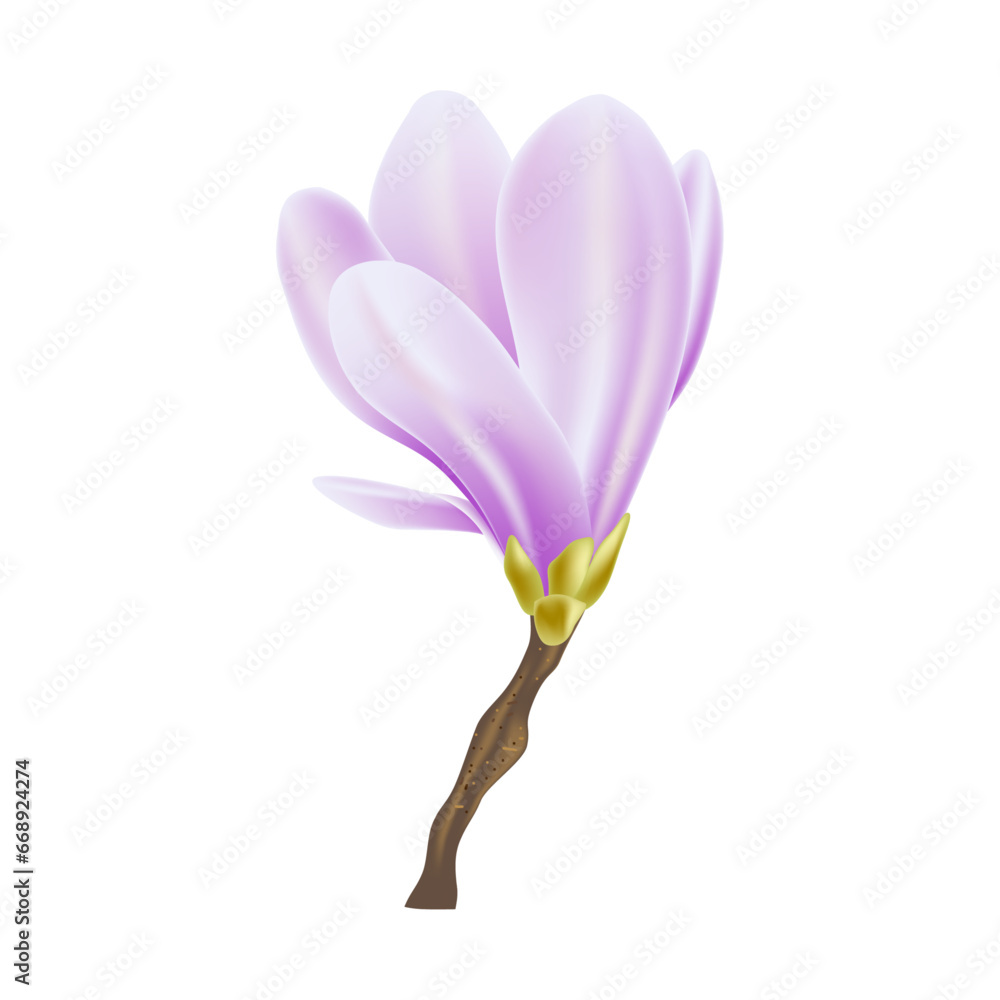Obraz premium Vector spring background with blossom brunch of purple flowers