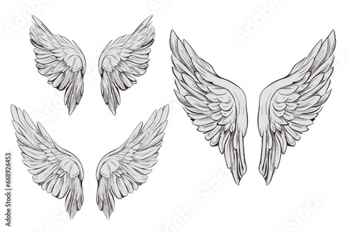 set of wings isolated, vector file