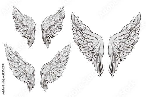 Obraz na płótnie set of wings isolated, vector file w salonie