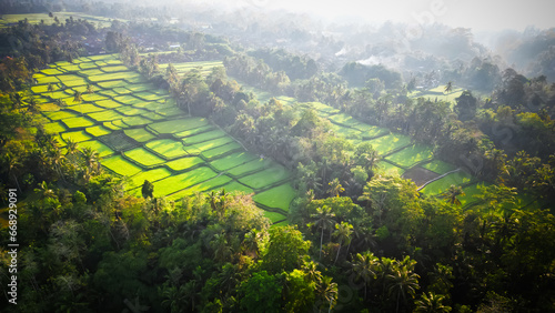 Aerial view of beautiful Tegallalang Rice Terrace surrounded by tropical forest in Gianyar, Bali, Indonesia. Balinese Rural scene, paddy terrace garden in a village with morning sunlight and mist. photo