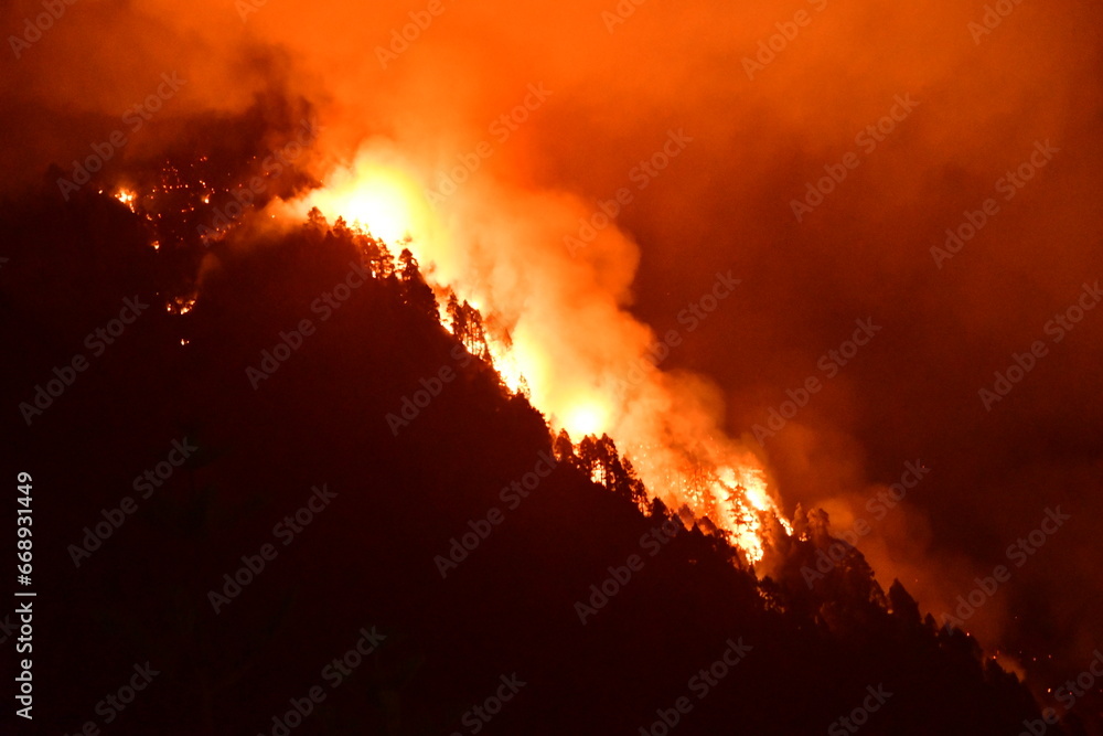 INCENDIO FORESTAL EN LA ISLA DE TENERIFE